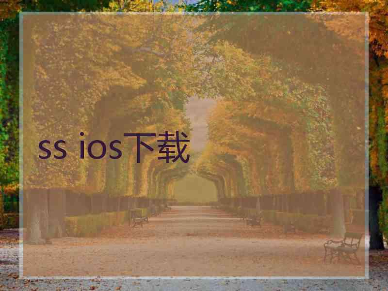 ss ios下载