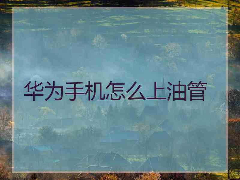 华为手机怎么上油管
