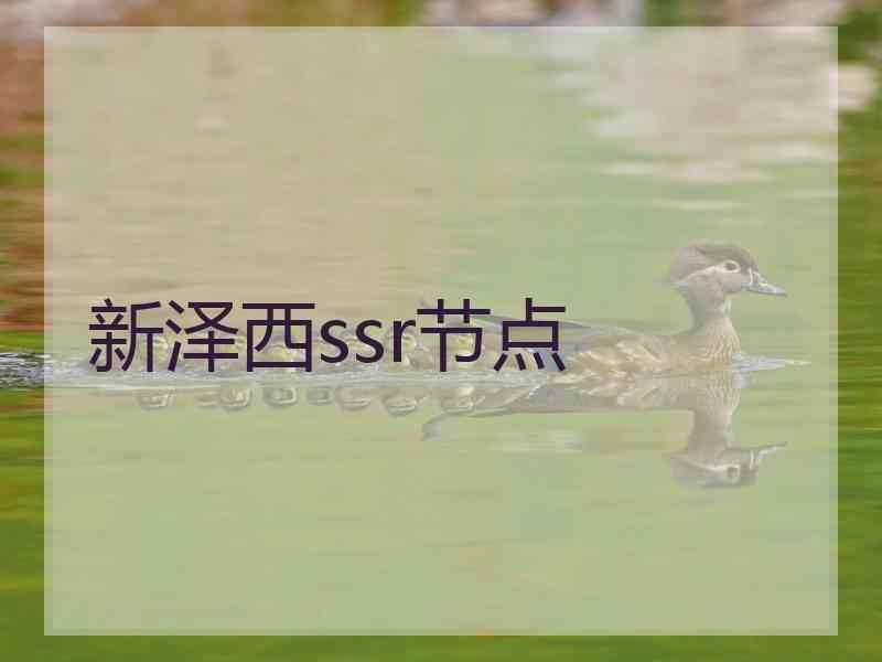 新泽西ssr节点