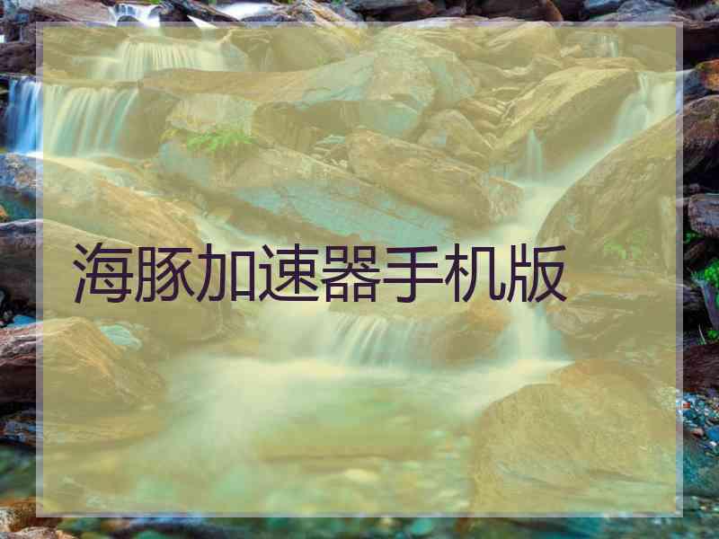 海豚加速器手机版