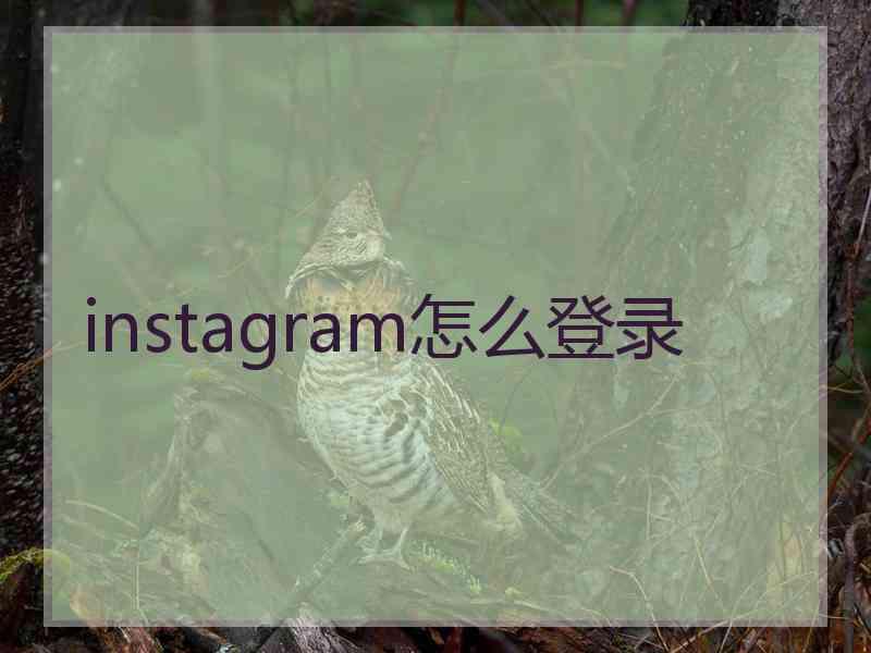 instagram怎么登录