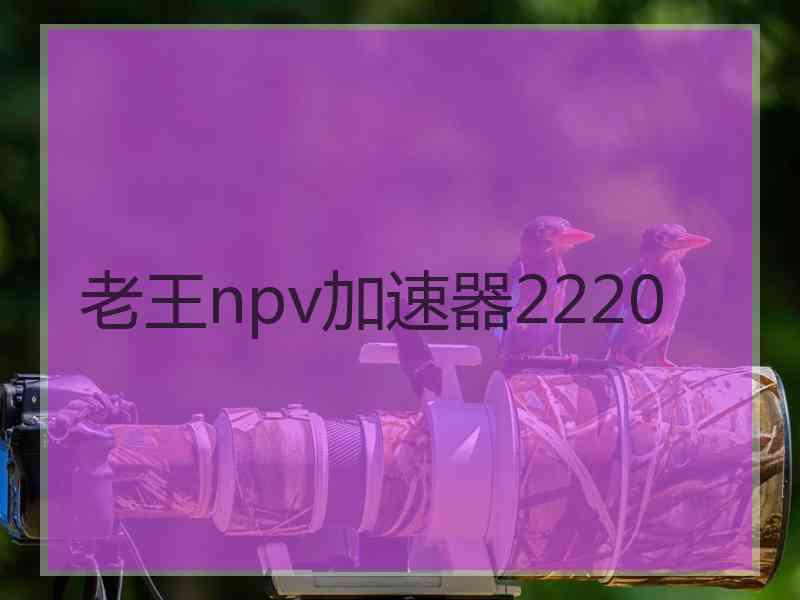 老王npv加速器2220