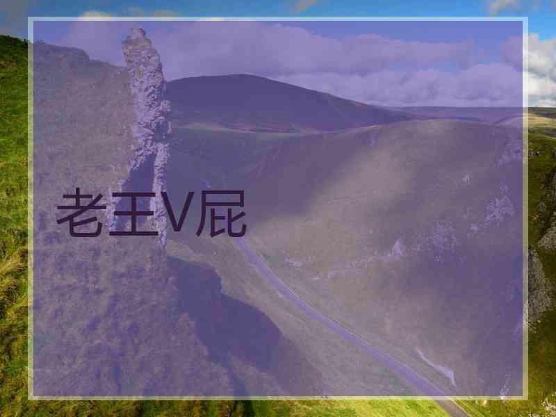 老王V屁