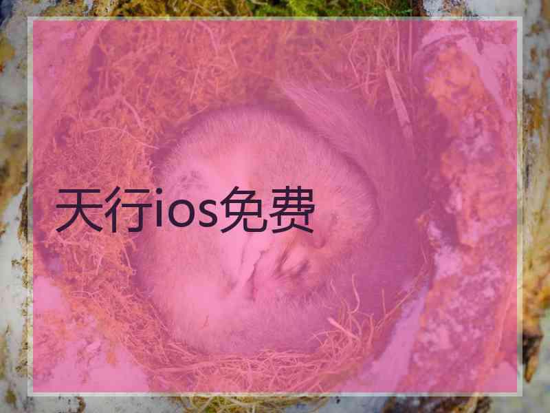 天行ios免费