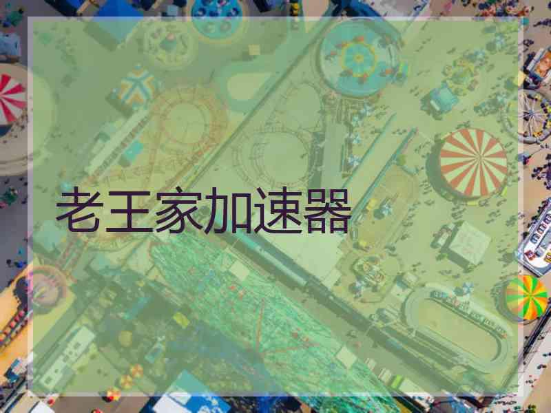 老王家加速器