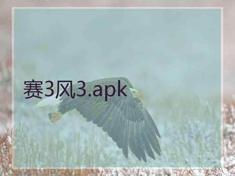 赛3风3.apk