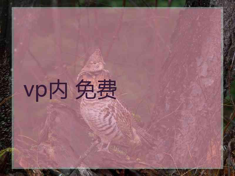 vp内 免费