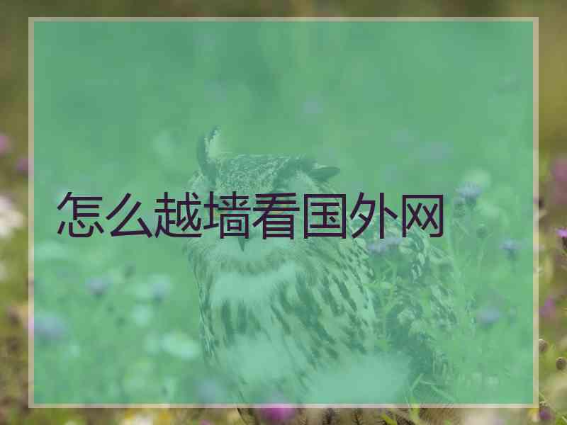 怎么越墙看国外网