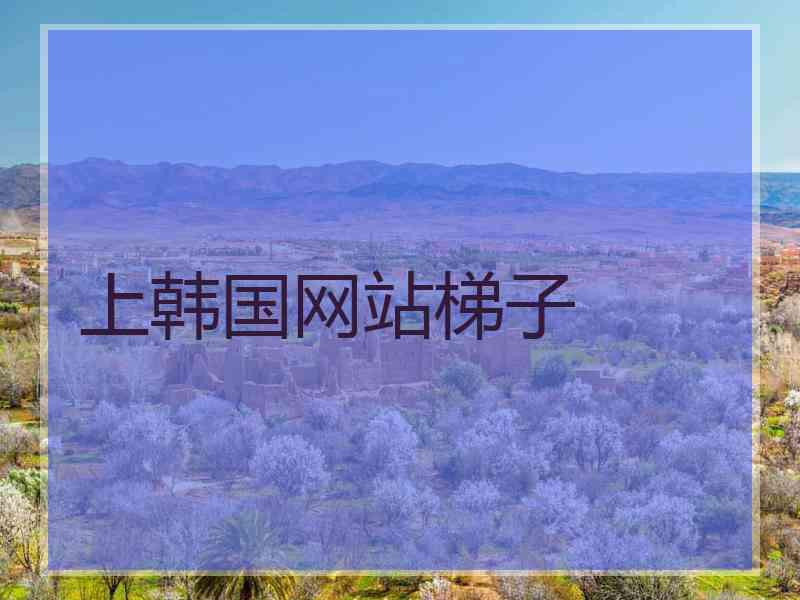 上韩国网站梯子