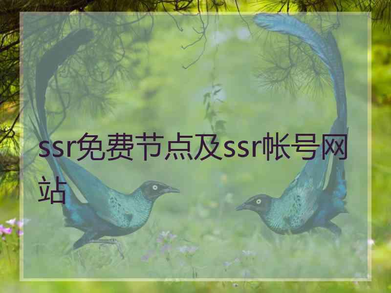 ssr免费节点及ssr帐号网站