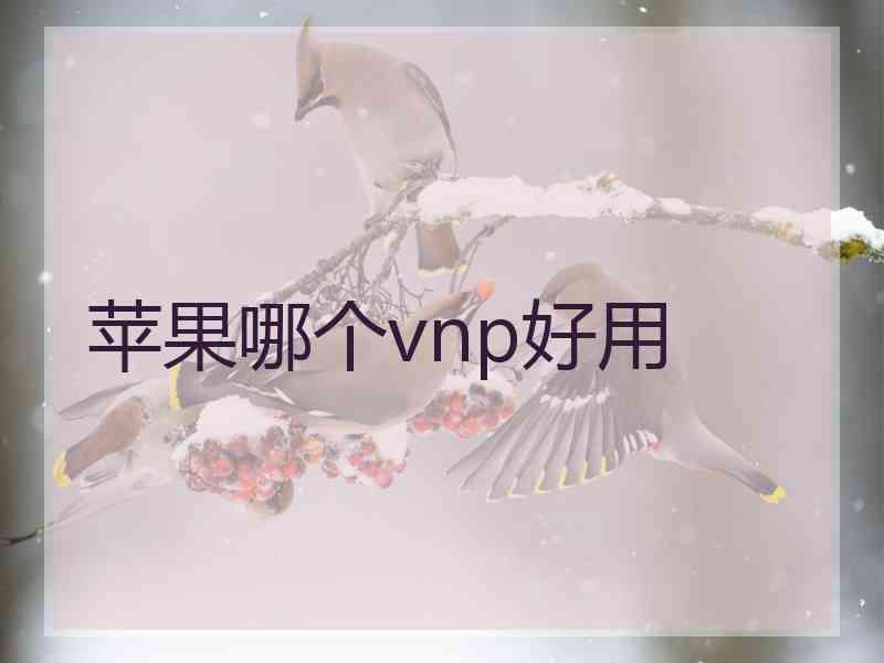 苹果哪个vnp好用