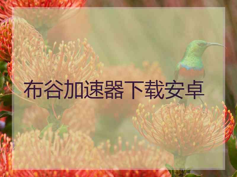 布谷加速器下载安卓