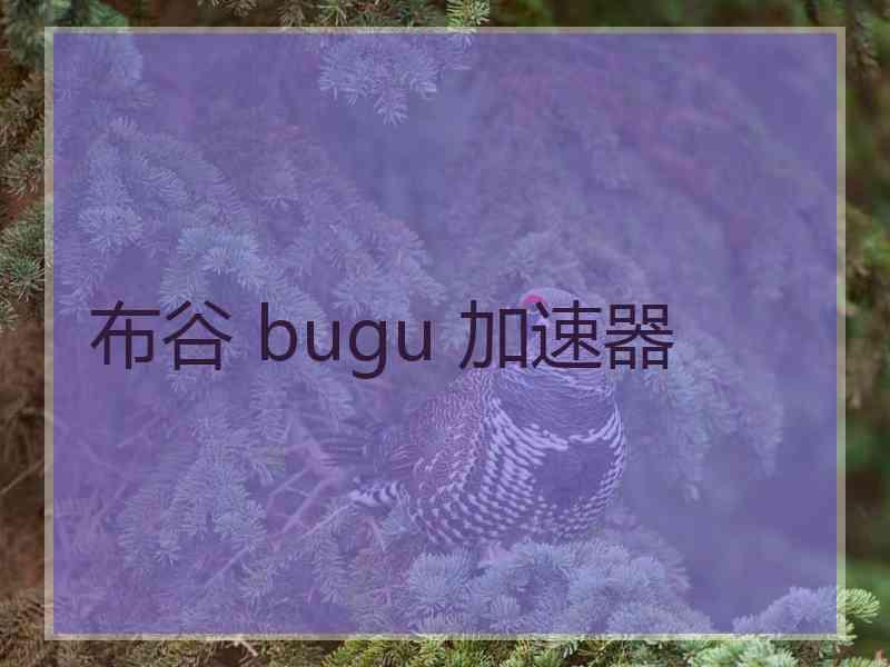 布谷 bugu 加速器