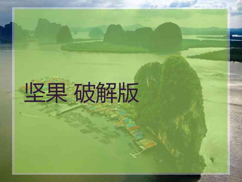 坚果 破解版