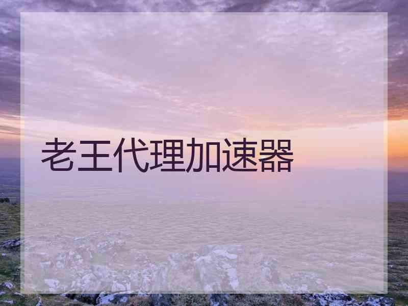 老王代理加速器