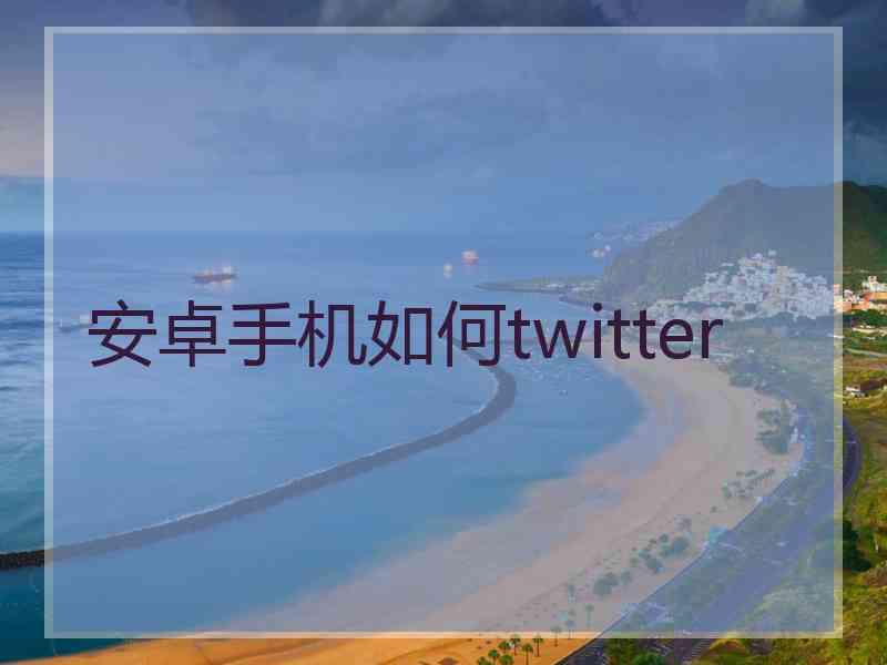 安卓手机如何twitter