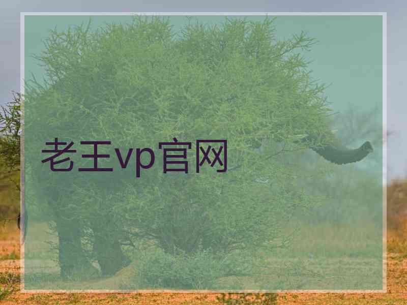 老王vp官网