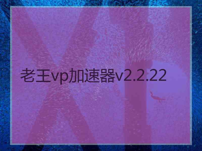 老王vp加速器v2.2.22