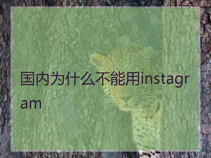 国内为什么不能用instagram