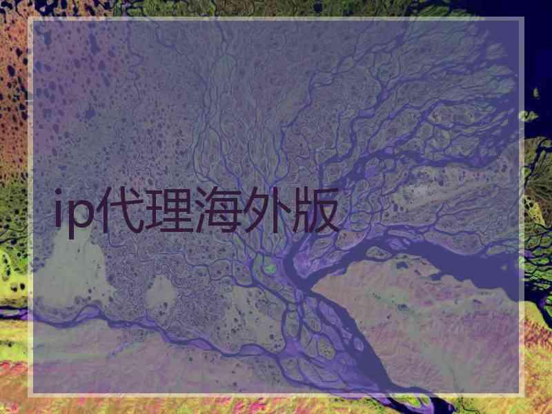 ip代理海外版