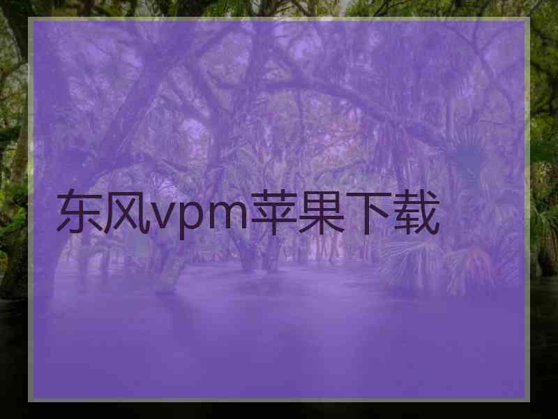 东风vpm苹果下载