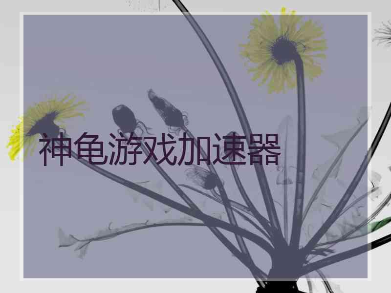 神龟游戏加速器