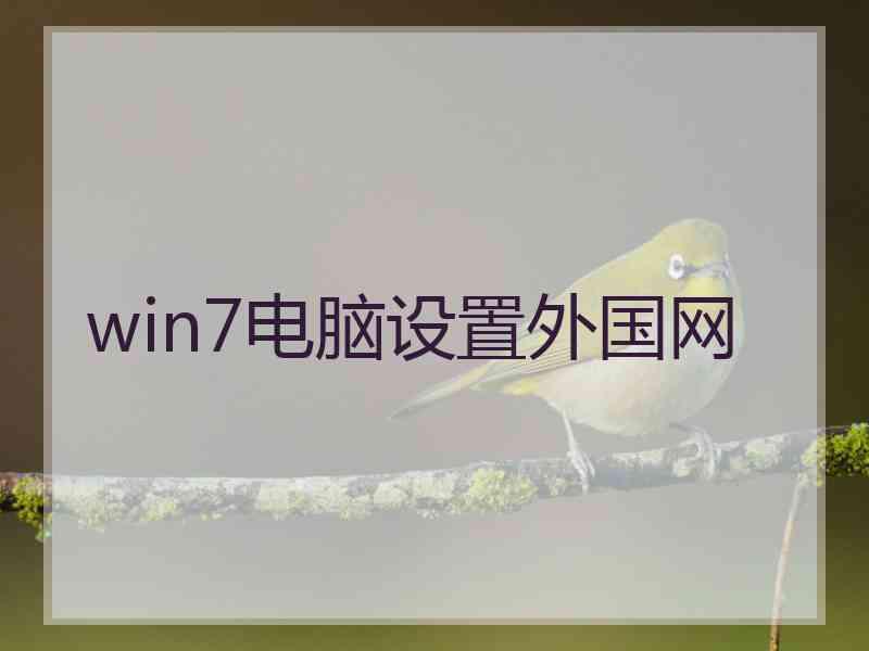 win7电脑设置外国网