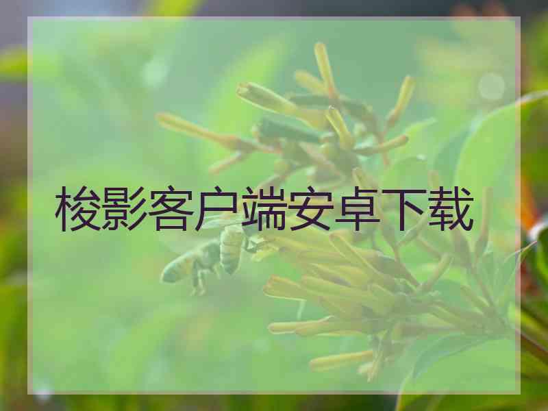 梭影客户端安卓下载