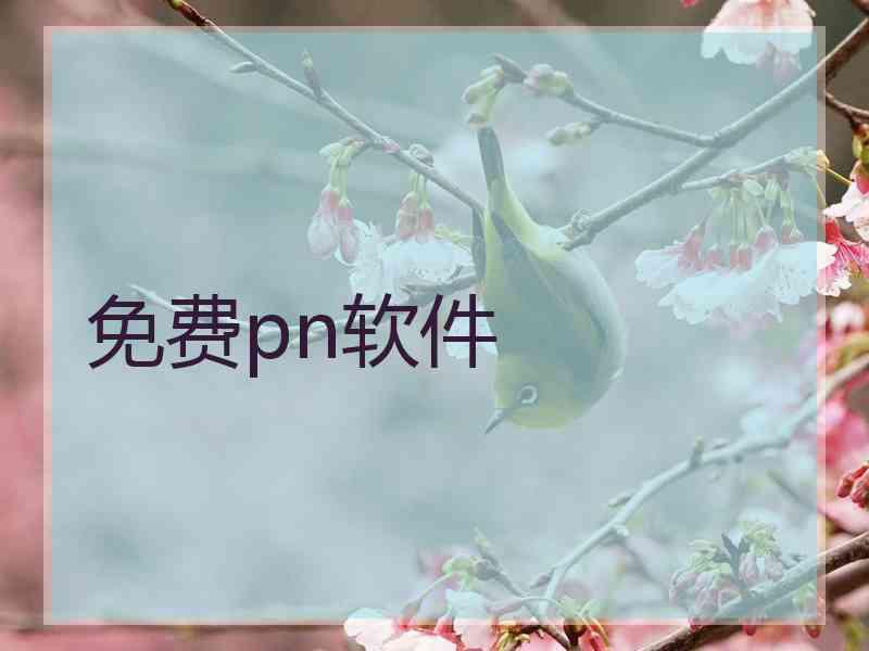 免费pn软件