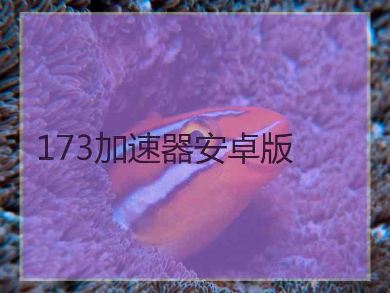 173加速器安卓版