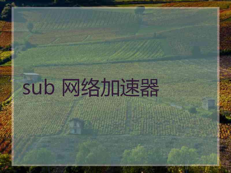 sub 网络加速器