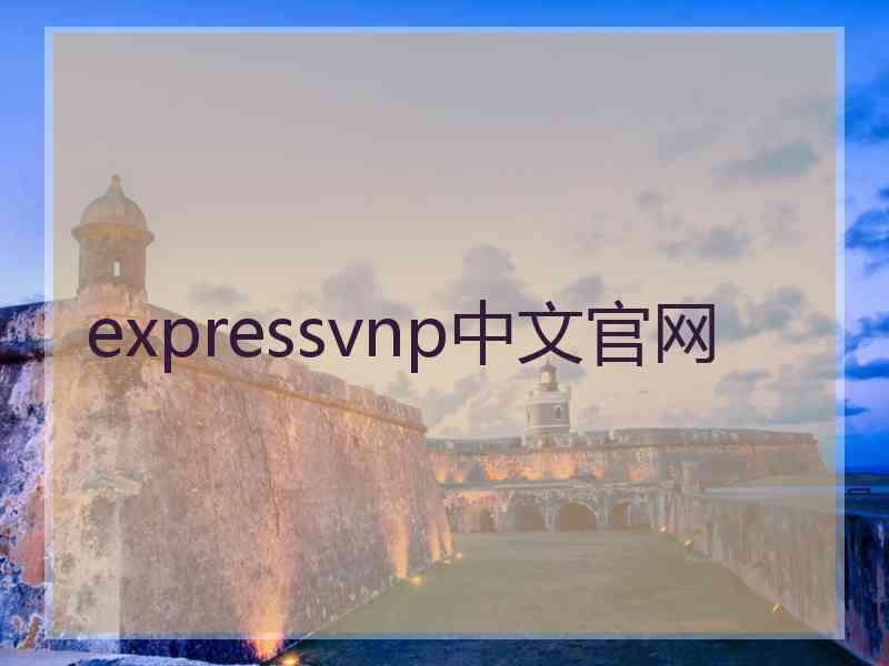 expressvnp中文官网