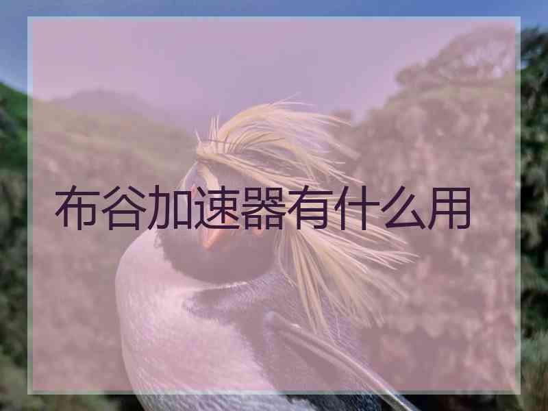 布谷加速器有什么用