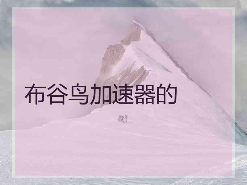 布谷鸟加速器的