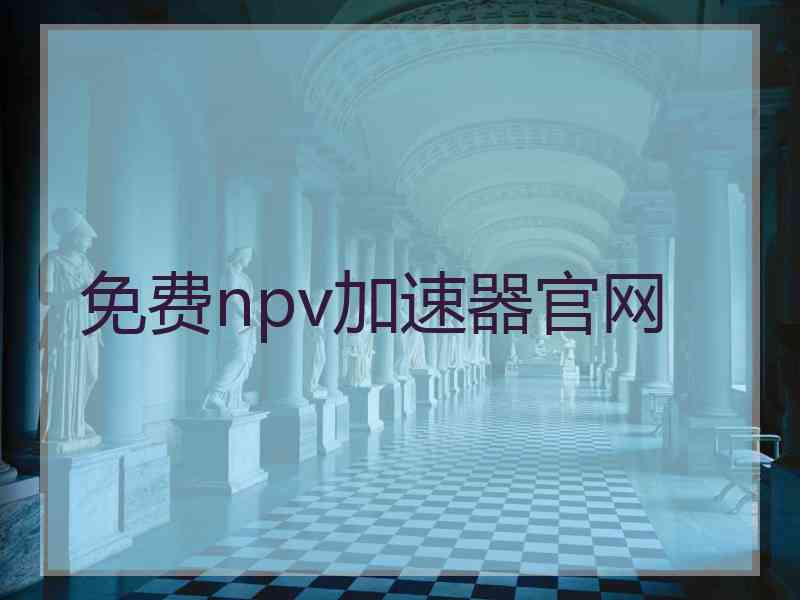 免费npv加速器官网