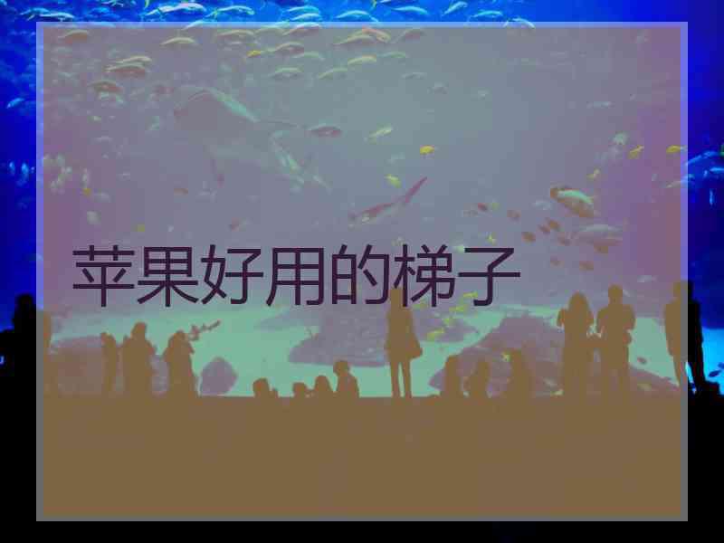 苹果好用的梯子