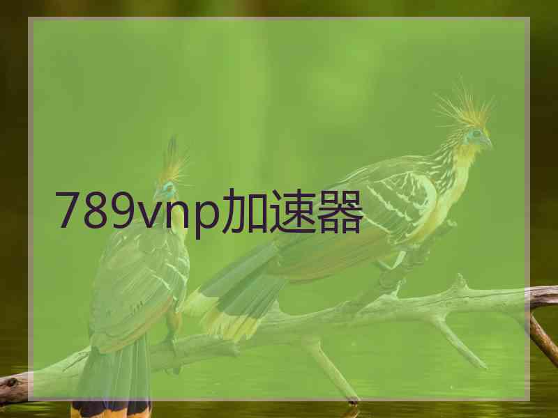 789vnp加速器