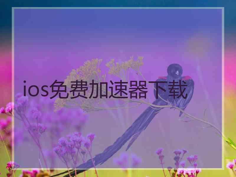 ios免费加速器下载