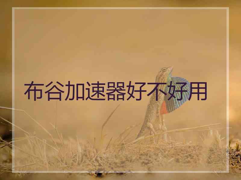 布谷加速器好不好用