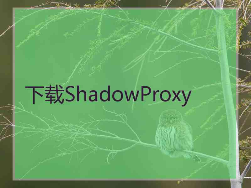 下载ShadowProxy