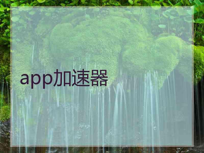 app加速器
