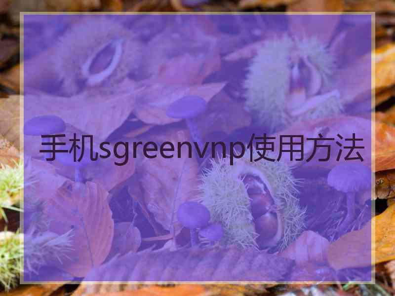 手机sgreenvnp使用方法