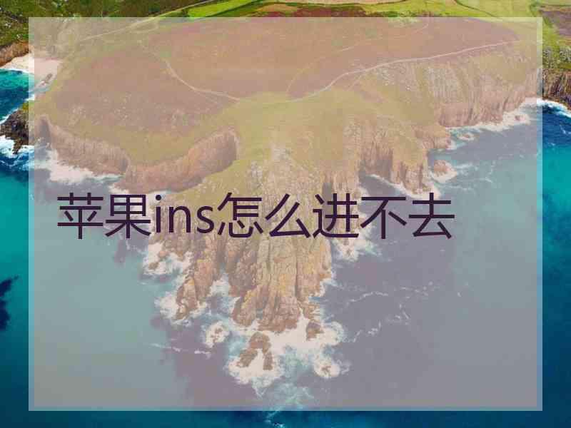 苹果ins怎么进不去